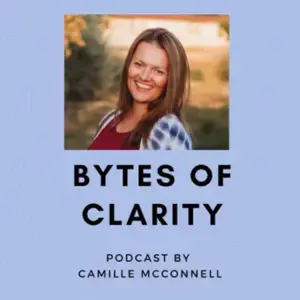 Bytes of Clarity Bytes of Clarity